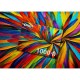 Colorful Feathers