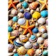 Strandschatz