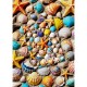 Strandschatz