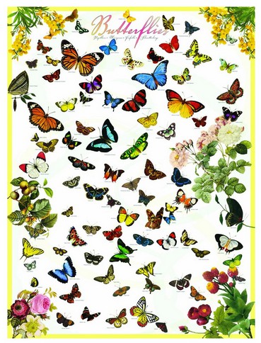 Puzzle Eurographics-6000-0077 Schmetterlinge