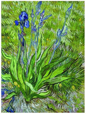 Puzzle Eurographics-6000-0380 Van Gogh Vincent: Die Iris