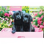 Puzzle  Eurographics-6500-5462 XXL Teile - Black Labs in Pink Box