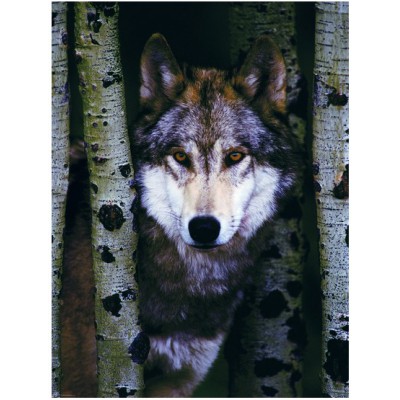 Puzzle Eurographics-8000-1244 Der graue Wolf