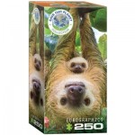 Puzzle  Eurographics-8251-5556 Save the Planet - Sloth