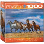 Puzzle   Chris Cummings - Über die Kuppe