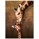 Der Kuss der Giraffe Mutter