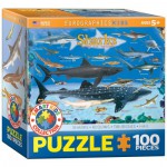 Puzzle   Haie