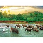 Puzzle   Save our Planet Collection - Regenwald