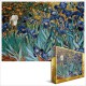 Van Gogh: Schwertlilien