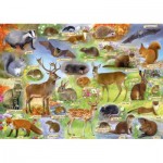 Puzzle   British Wildlife