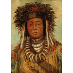 Puzzle  Grafika-F-31308 George Catlin: Boy Chief - Ojibbeway, 1843