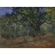 Claude Monet: Fontainebleau, 1865