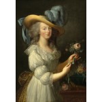 Puzzle   Elisabeth Vigée-Lebrun: Marie-Antoinette, 1783
