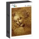Leonardo da Vinci: Gesicht der Giovane Fanciulla, 1508