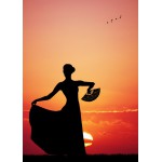 Puzzle   Magnetische Teile - Flamenco at Sunset