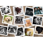 Puzzle   Magnetische Teile - Hunde