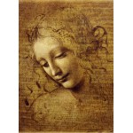 Puzzle   Magnetische Teile - Leonardo da Vinci: Gesicht der Giovane Fanciulla, 1508