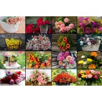 Puzzle   XXL Teile - Collage - Blumen