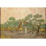 Puzzle   XXL Teile - Van Gogh: Women Picking Olives,1889