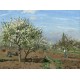 Camille Pissarro : Orchard in Bloom, Louveciennes, 1872