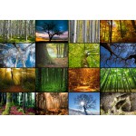 Puzzle   Collage - Bäume