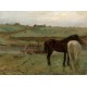 Edgar Degas: Horses in a Meadow, 1871