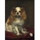 Edouard Manet: A King Charles Spaniel, 1866