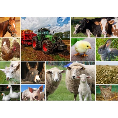 Puzzle Grafika-F-30027 Collage - Bauernhoftiere