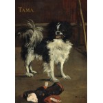Puzzle  Grafika-F-32825 Edouard Manet: Tama: The Japanese Dog, 1875