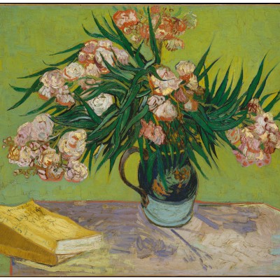 Puzzle Grafika-F-33356 Van Gogh: Oleanders,1888