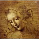 Leonardo da Vinci: Gesicht der Giovane Fanciulla, 1508