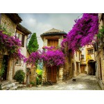 Puzzle   Provence, Frankreich