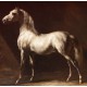 Théodore Géricault: Cheval Arabe Gris-Blanc