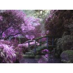 Puzzle   Zen-Brücke