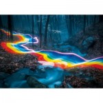 Puzzle  Heye-29943 Rainbow Forests