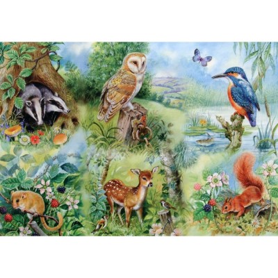 Puzzle House-Of-Puzzles-HP0144 XXL Teile - Naturstudie