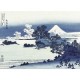 Fuji im Winter