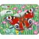 Rahmenpuzzle - Schmetterling
