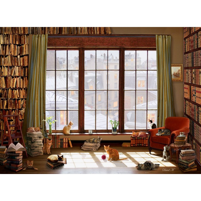 Perre / Anatolian Window Cats