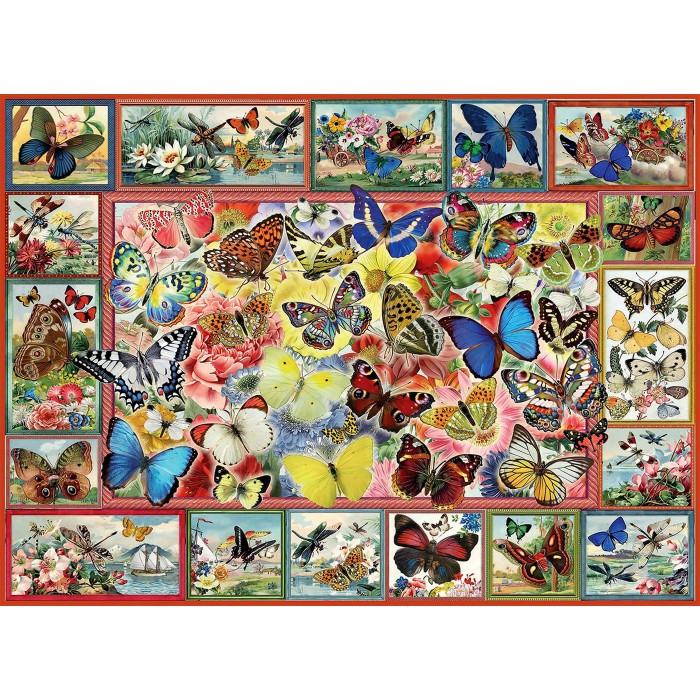 Perre / Anatolian Lots Of Butterflies