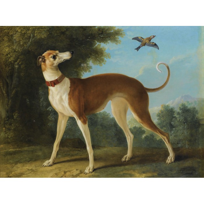 Grafika Jean-Baptiste Oudry: Lévrier sur Fond de Paysage, 1746