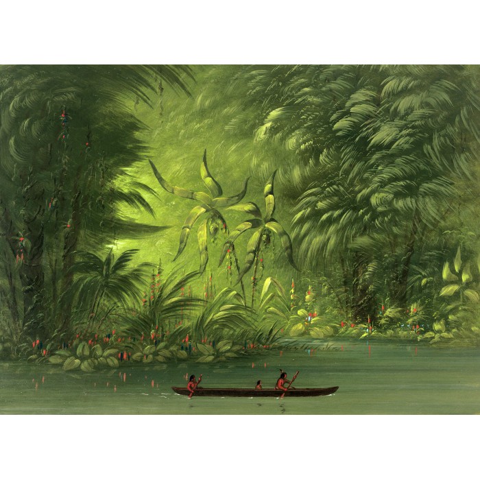Grafika George Catlin: Entrance to a Lagoon, Shore of the Amazon, 1854-1869