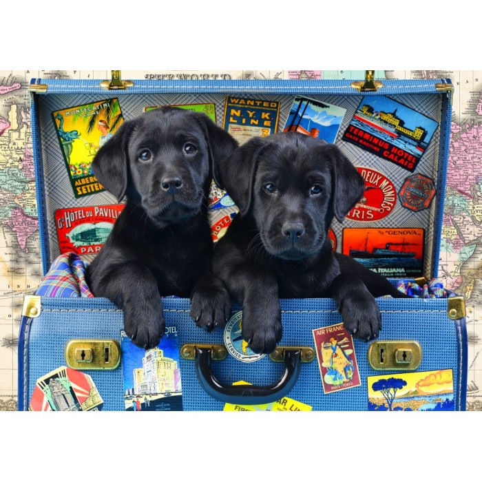 Bluebird Puzzle Travel Labs