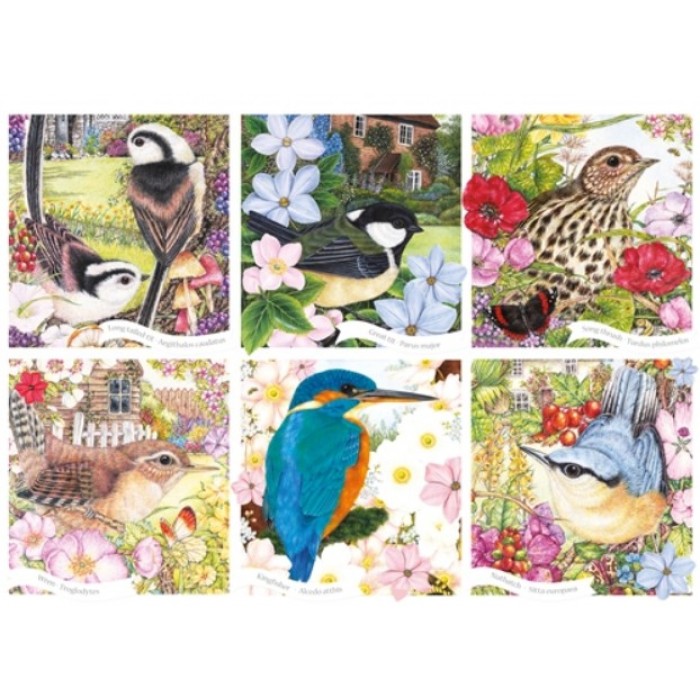 Otter House Puzzle RSPB - Garden Birds