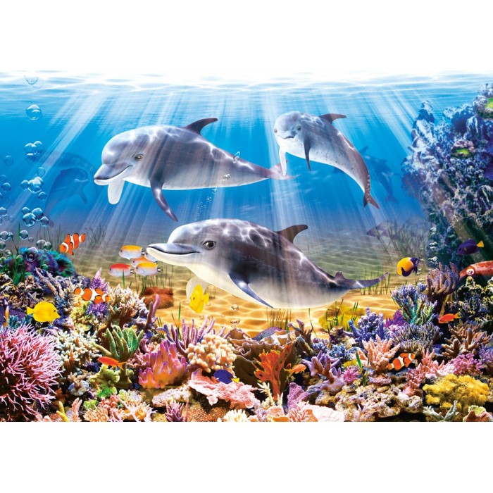 Castorland Die Welt der Delfine