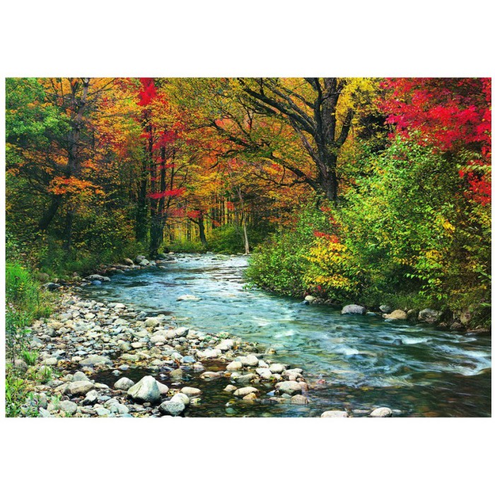 Eurographics Wasserlauf im Wald
