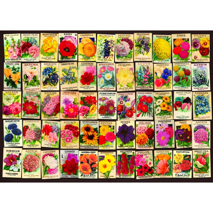 DToys Vintage Collage - Blumen