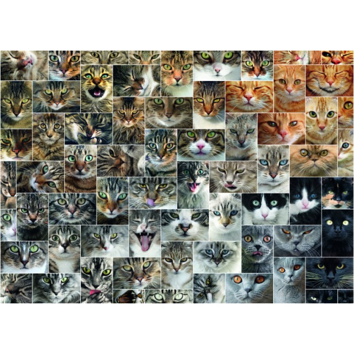 DToys Collage - Katzen