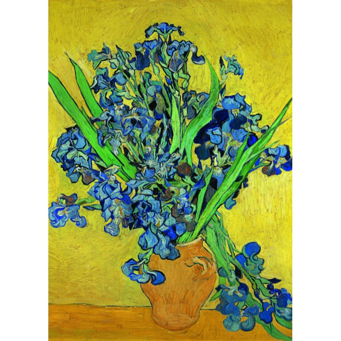 DToys Vincent Van Gogh