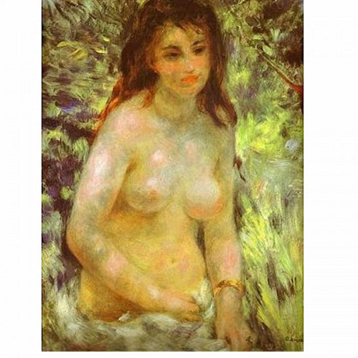 DToys Renoir: Nu dans le soleil